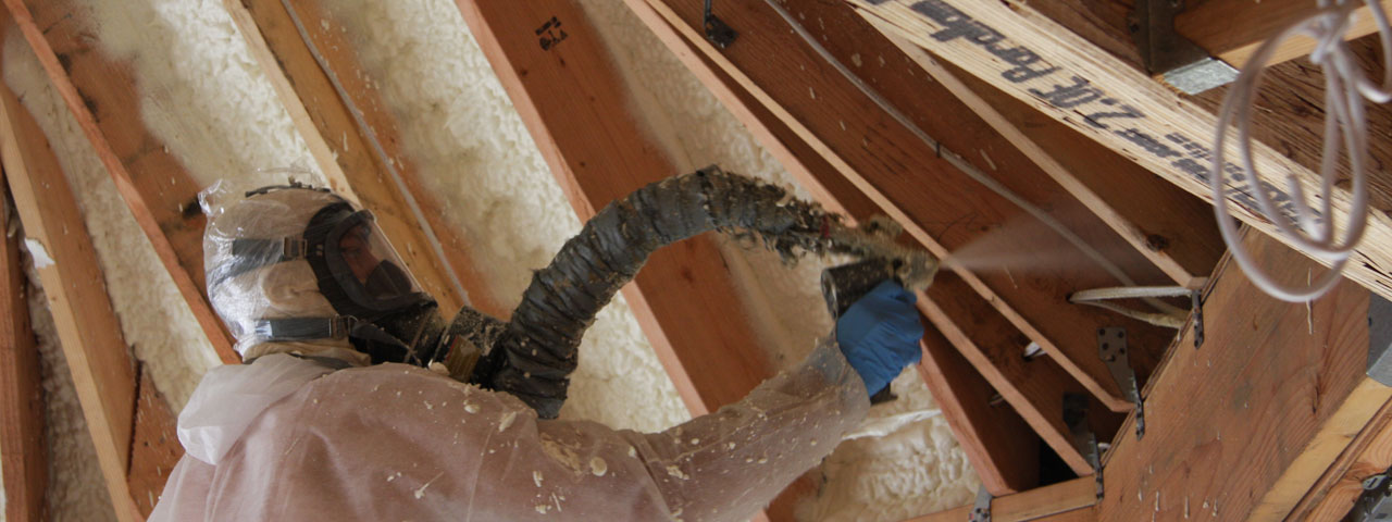 Regina Saskatchewan Attic Insulation Spray Foam
